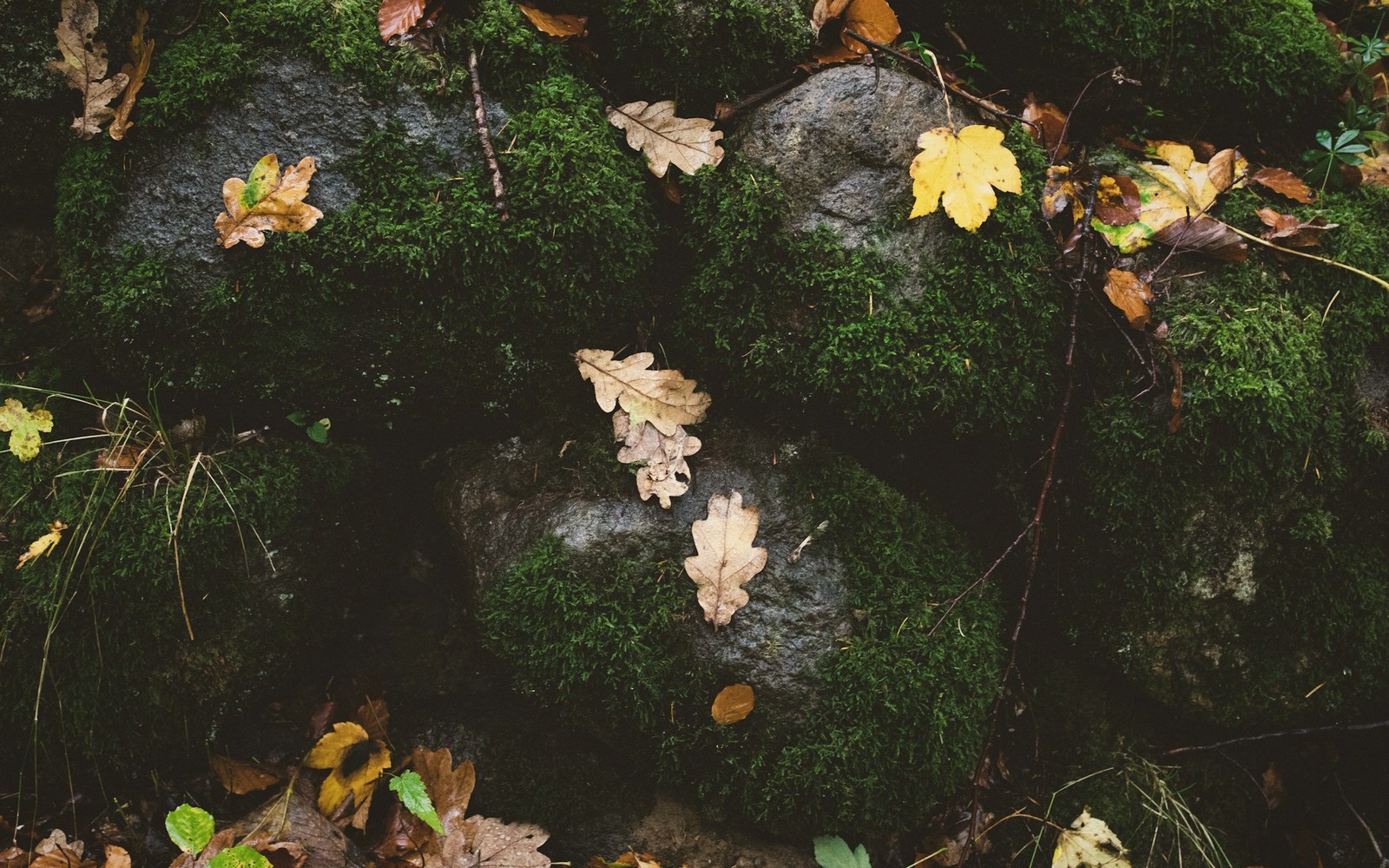 Impermanence, Gently
